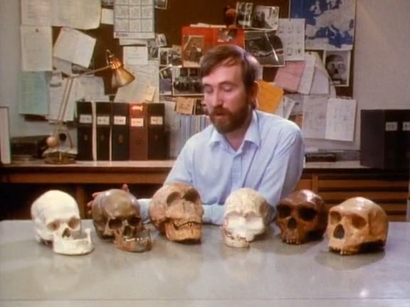 人类起源之谜 National Geographic Specials: Mysteries of Mankind