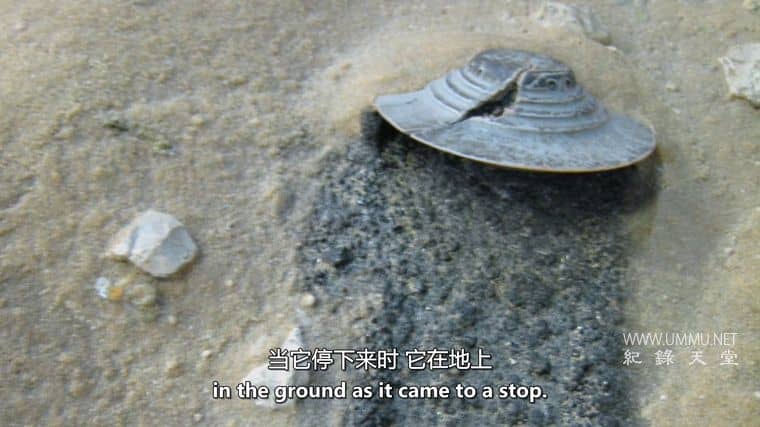 外星人崩溃检索 Alien Crash Retrievals