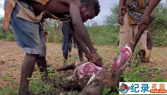 非洲原始部落生活纪录片《走进非洲狩猎部落》全1季中字 1080P高清自媒体解说素材百度云盘下载