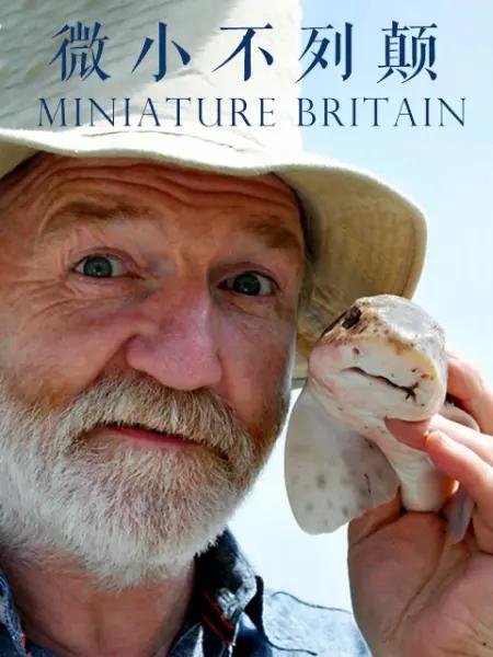 英国的微小生命 Miniature Britain