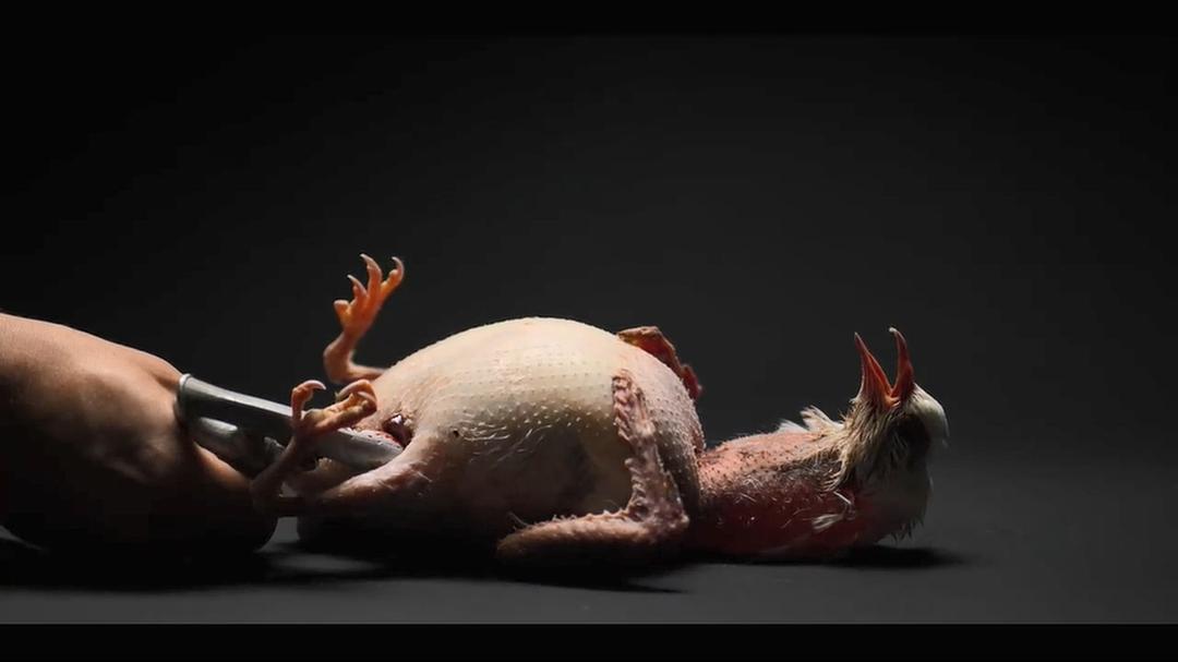 主厨的餐桌 第五季 Chef's Table Season 5