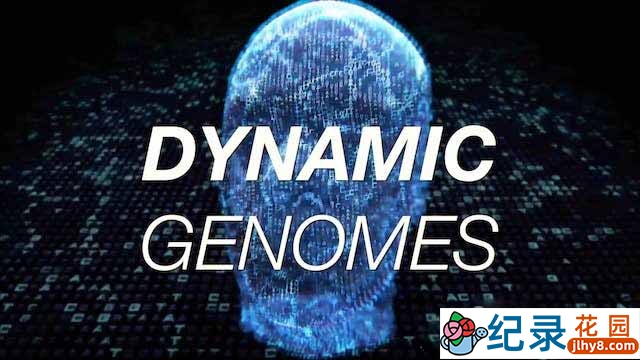 NHK遗传信息纪录片《动态基因组 Dynamic Genomes》第1季中字 720P/1080i高清纪录片资源百度云盘下载