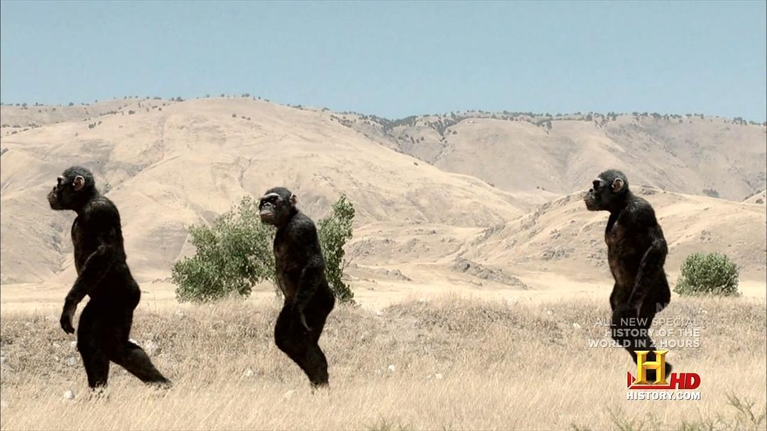 两个小时的世界历史 History of the World in Two Hours