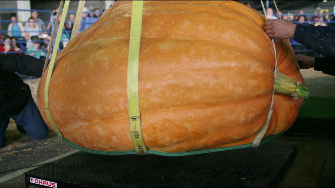 阿拉斯加：地球上的冰冻王国 Alaska: Earth's Frozen Kingdom