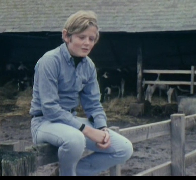 人生七年2 7 Plus Seven