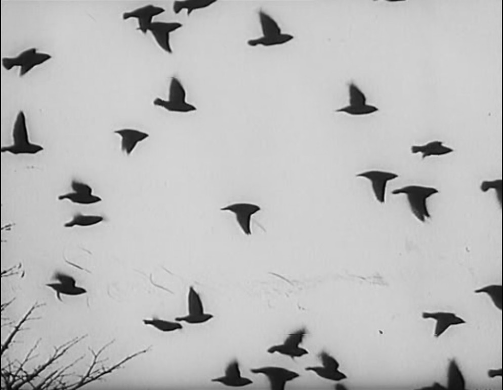 旧世界群像 Obrazy starého sveta