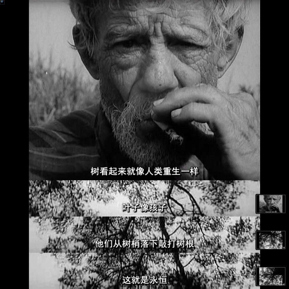 旧世界群像 Obrazy starého sveta