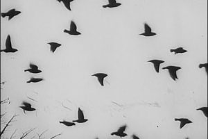 旧世界群像 Obrazy starého sveta