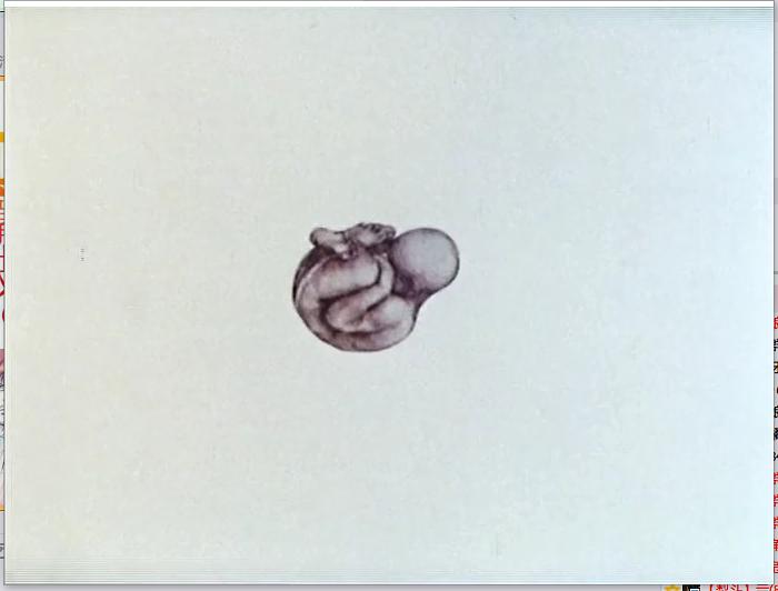 人类的攀升 The Ascent of Man