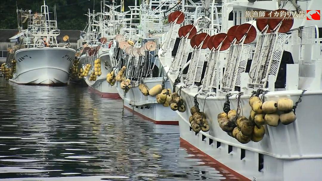 纪实72小时 旅行渔夫 钓乌贼的人生 ドキュメント72時間 旅漁師 イカ釣り人生