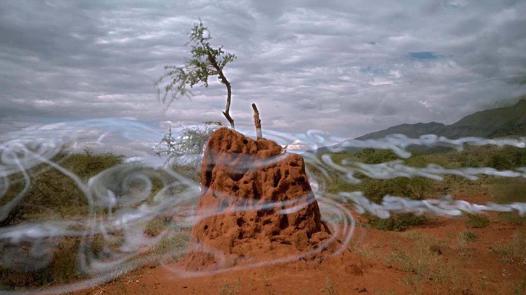 微型猛兽世界之旅 Micro Monsters 3D