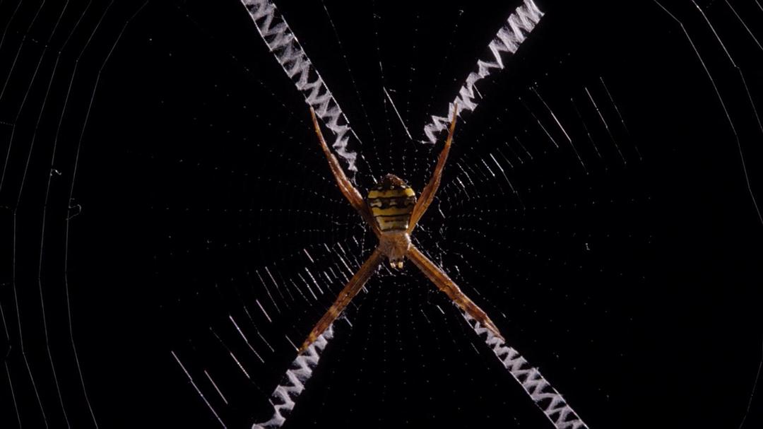 微型猛兽世界之旅 Micro Monsters 3D