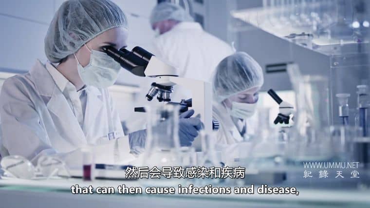 僵尸真菌的攻击 Attack of the Zombie Fungus