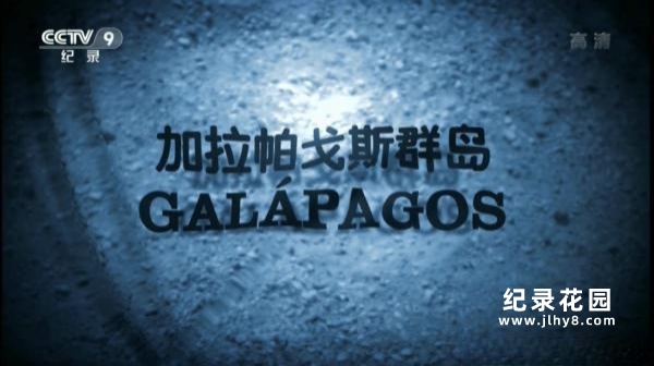 BBC自然生态纪录片《加拉帕戈斯群岛 Galapagos》全3集 720P/1080i高清纪录片资源百度云盘下载