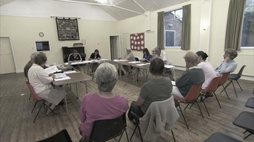 蜜蜂、蝴蝶与花朵 Bees Butterflies and Blooms