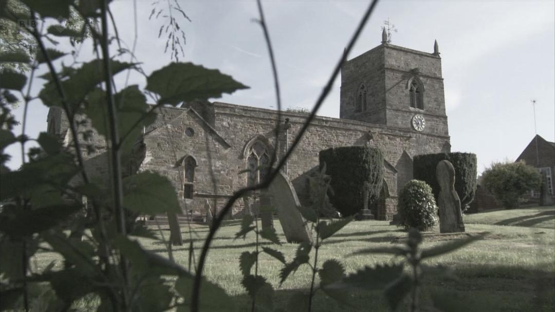 蜜蜂、蝴蝶与花朵 Bees Butterflies and Blooms