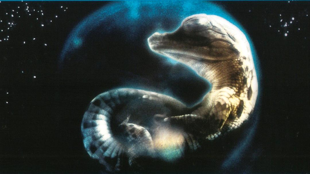 小宇宙2：基因狂想曲 Genesis