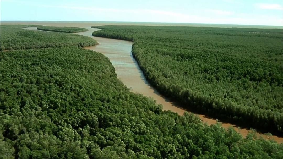 小宇宙2：基因狂想曲 Genesis