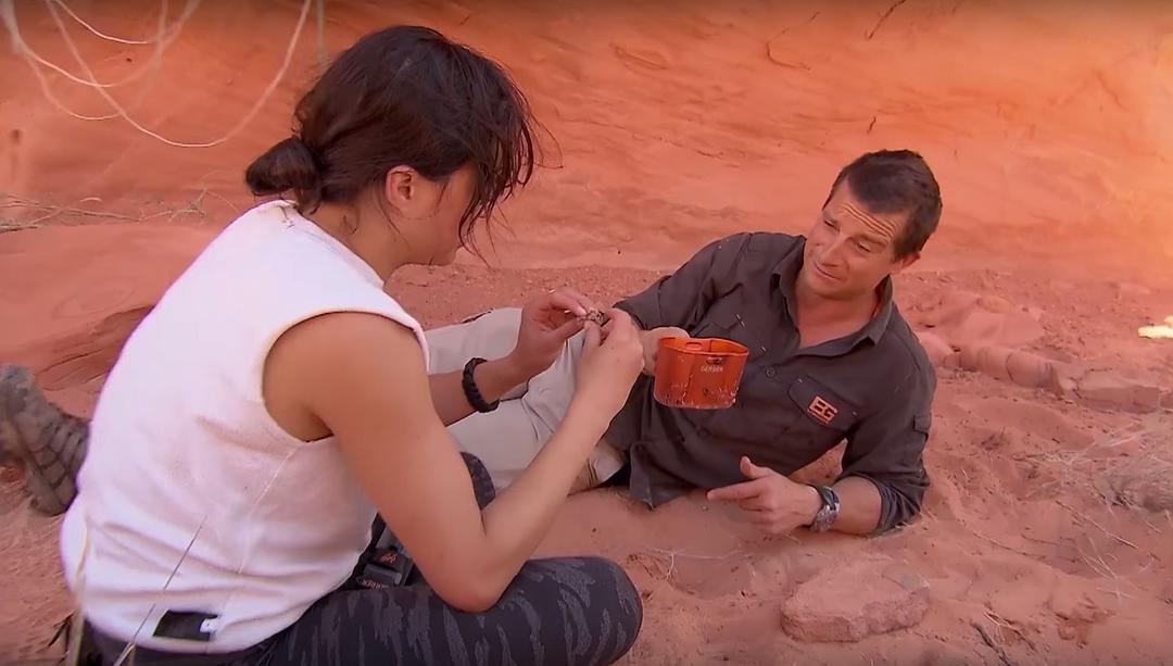 名人荒野求生 第二季 Running Wild with Bear Grylls Season 2