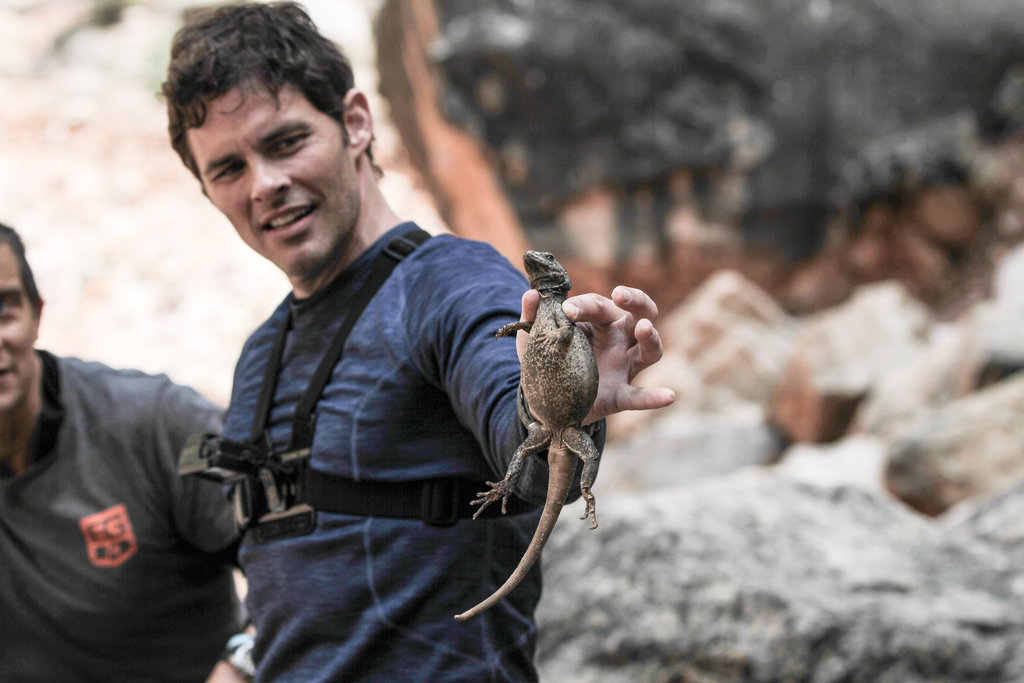 名人荒野求生 第二季 Running Wild with Bear Grylls Season 2