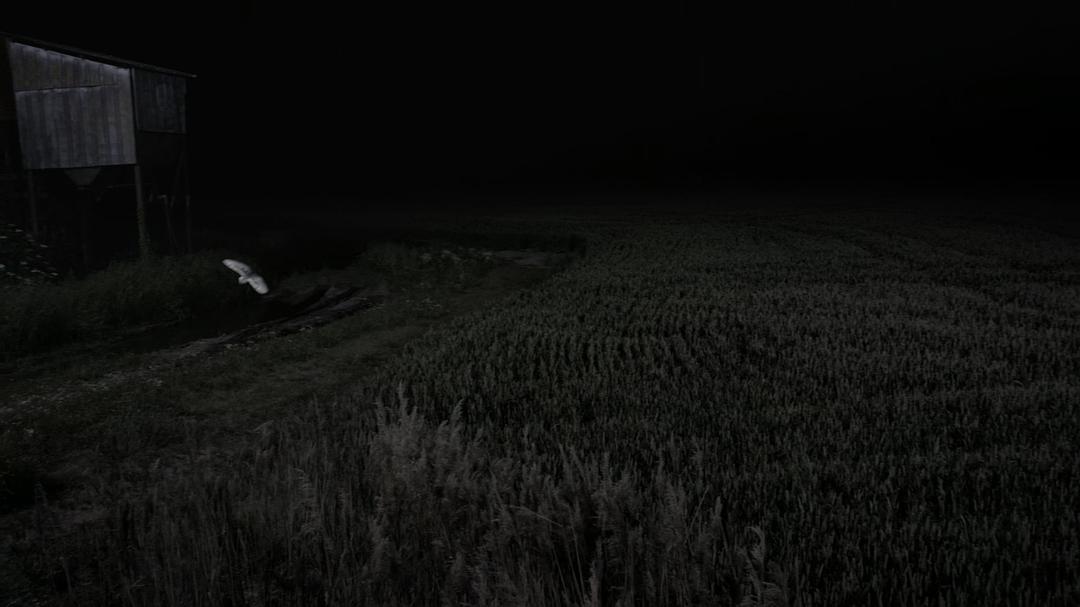 征服天穹 David Attenborough's Conquest of the Skies