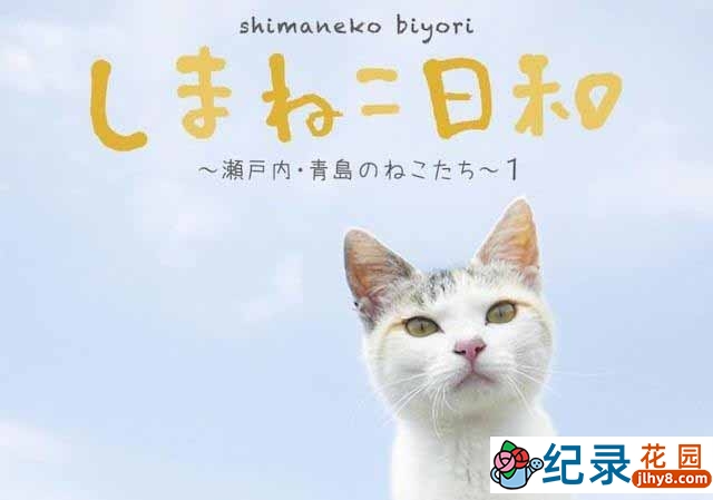 萌宠纪录片《俺是猫，欢迎来俺家玩》全1集 720P/1080i高清纪录片资源百度云盘下载