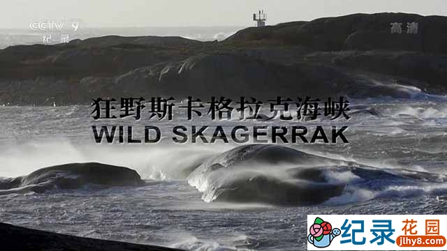 央视自然生态纪录片《狂野斯卡格拉克海峡 Wild Skagerrak》全1集中字 TS/蓝光高清纪录片资源百度云盘下载