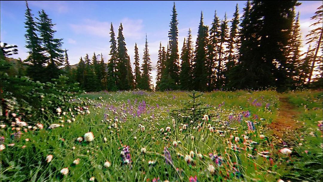 北美国家公园 North America's National Parks