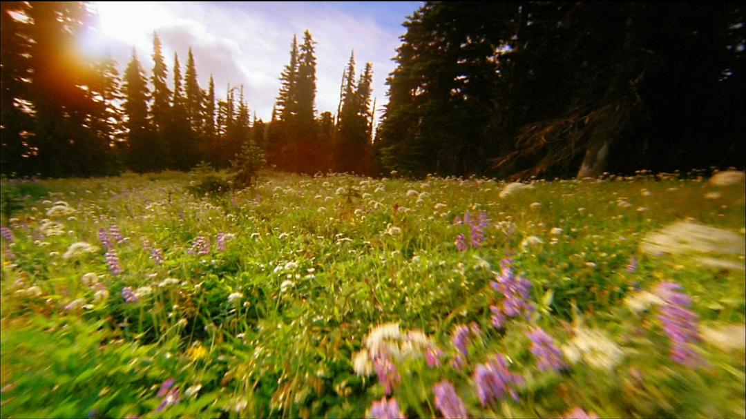 北美国家公园 North America's National Parks