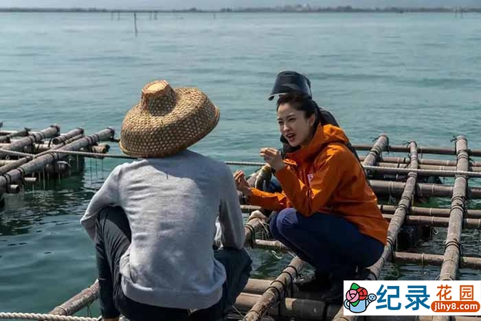 央视人文旅行纪录片《远方的家 行走海岸线》第73-95集 1080P高清纪录片资源百度云盘下载