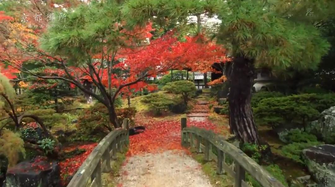 京都御所：不为人知的千年之美 京都御所 ～秘められた千年の美～