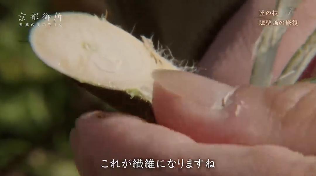 京都御所：不为人知的千年之美 京都御所 ～秘められた千年の美～