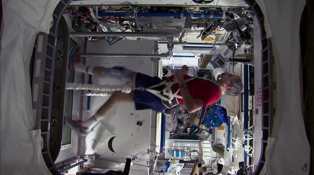 太空一年 A Year in Space