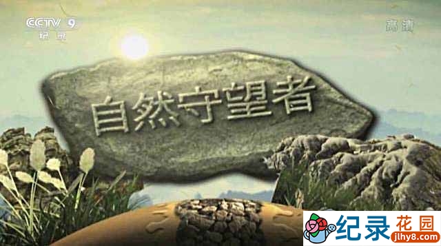 央视濒危物种保护纪录片《自然守望者》第2季 TS/蓝光高清纪录片资源百度云盘下载