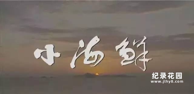 CCTV央视美食纪录片《小海鲜》全2集 720P/1080i高清纪录片百度云