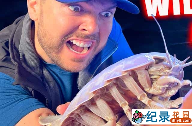 冒死野生动物实验纪录片《狼叔荒野探险》第4季合100集中字 4K/1080P高清纪录片资源百度云盘下载