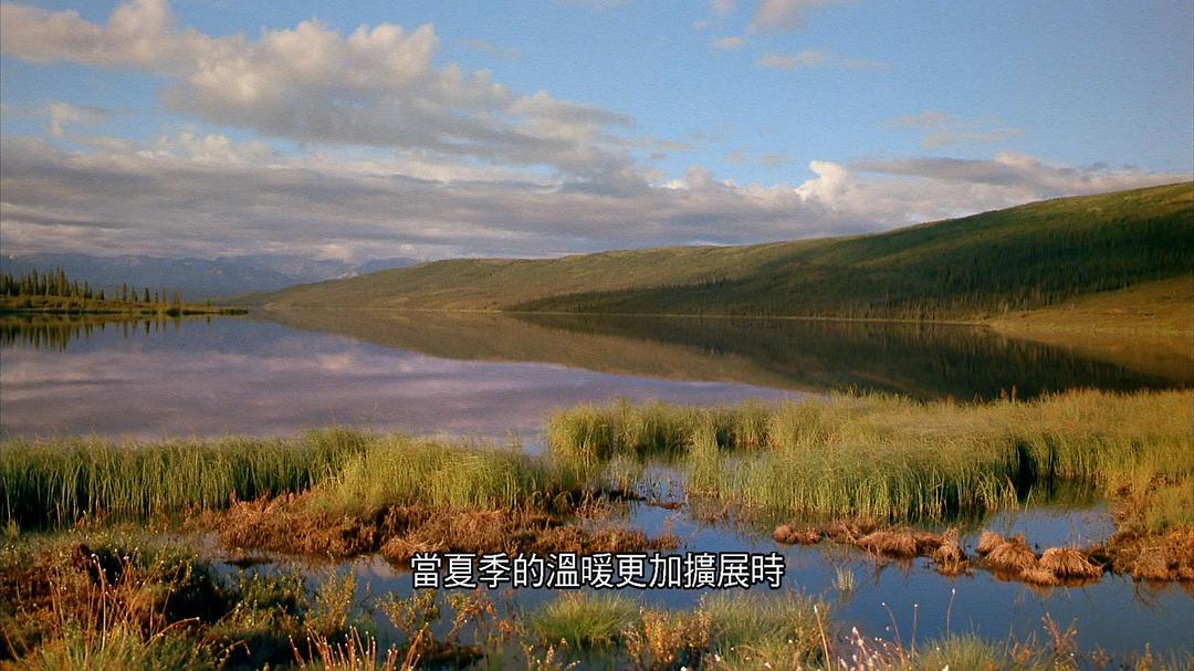 阿拉斯加：荒野的精神 Alaska: Spirit of the Wild