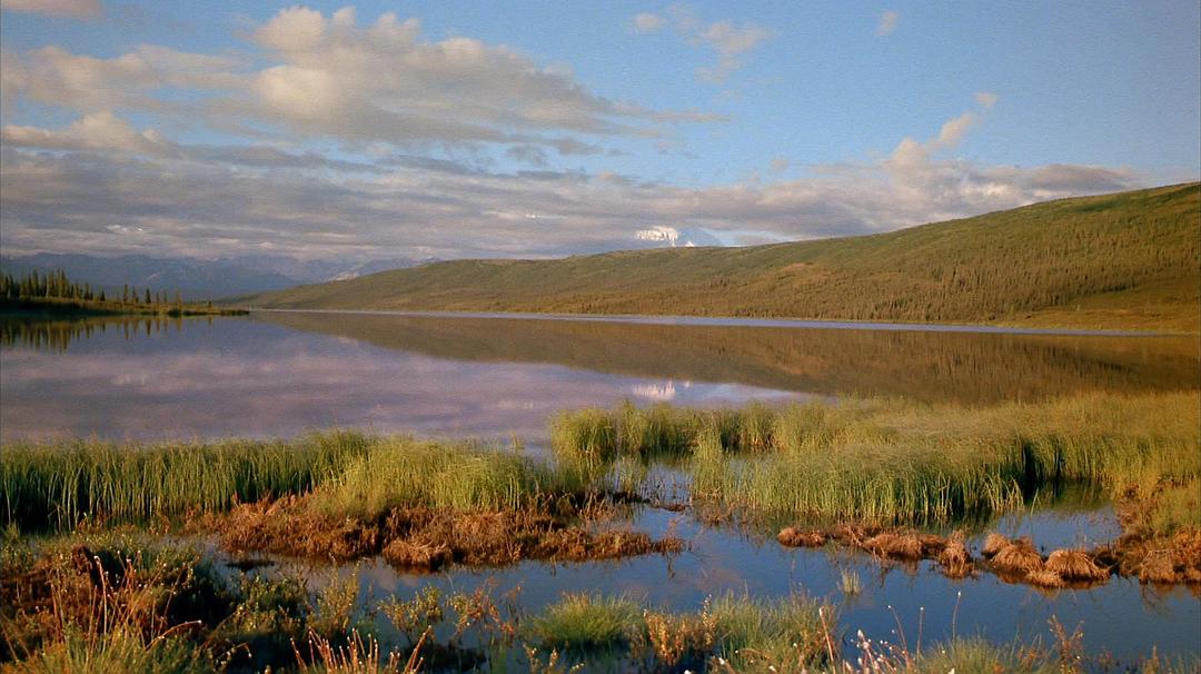 阿拉斯加：荒野的精神 Alaska: Spirit of the Wild