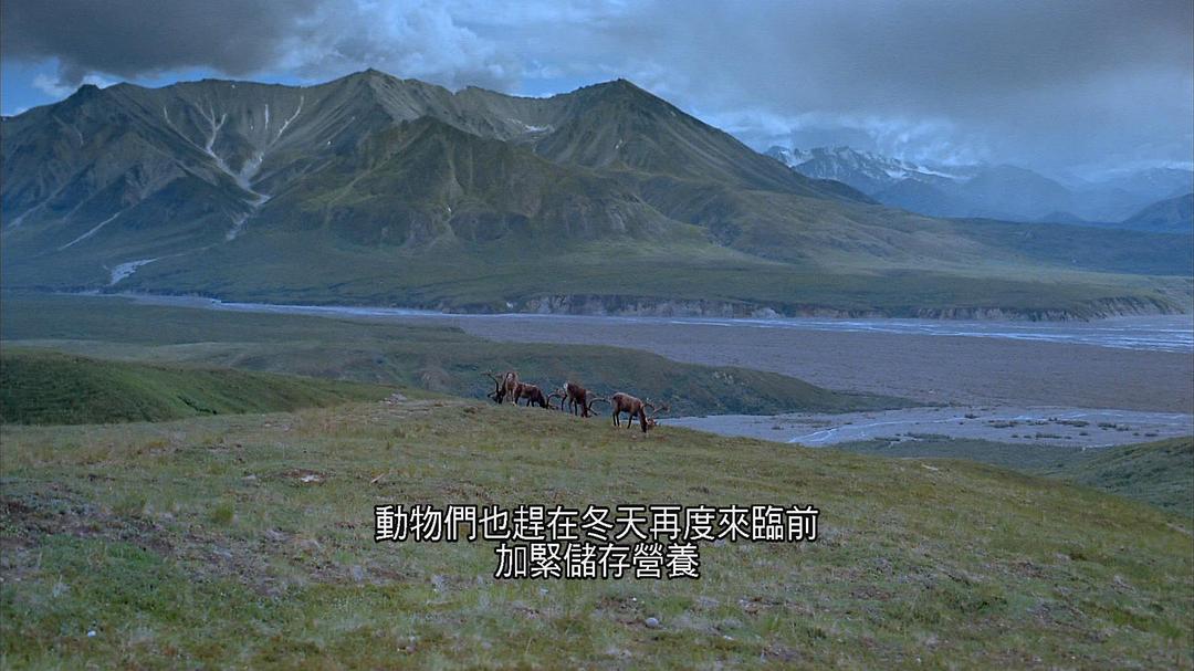 阿拉斯加：荒野的精神 Alaska: Spirit of the Wild
