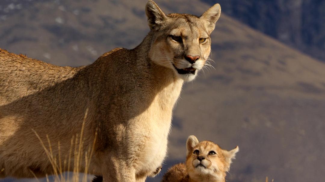 全球绝美国家公园 Our Great National Parks