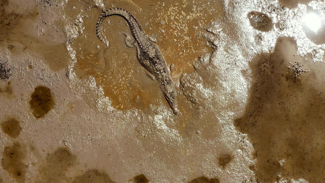 全球绝美国家公园 Our Great National Parks