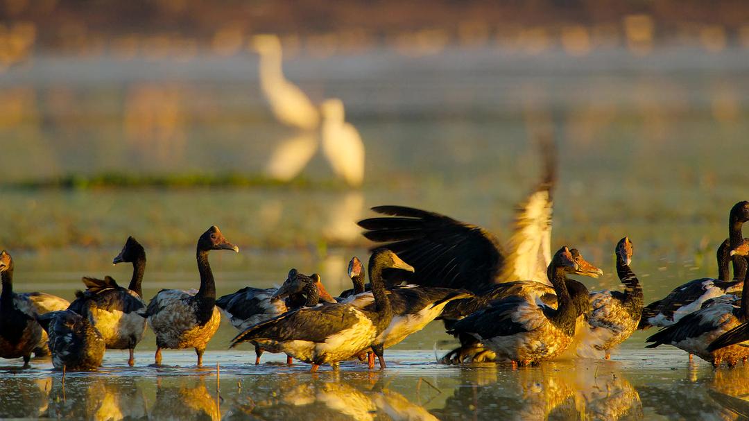 全球绝美国家公园 Our Great National Parks