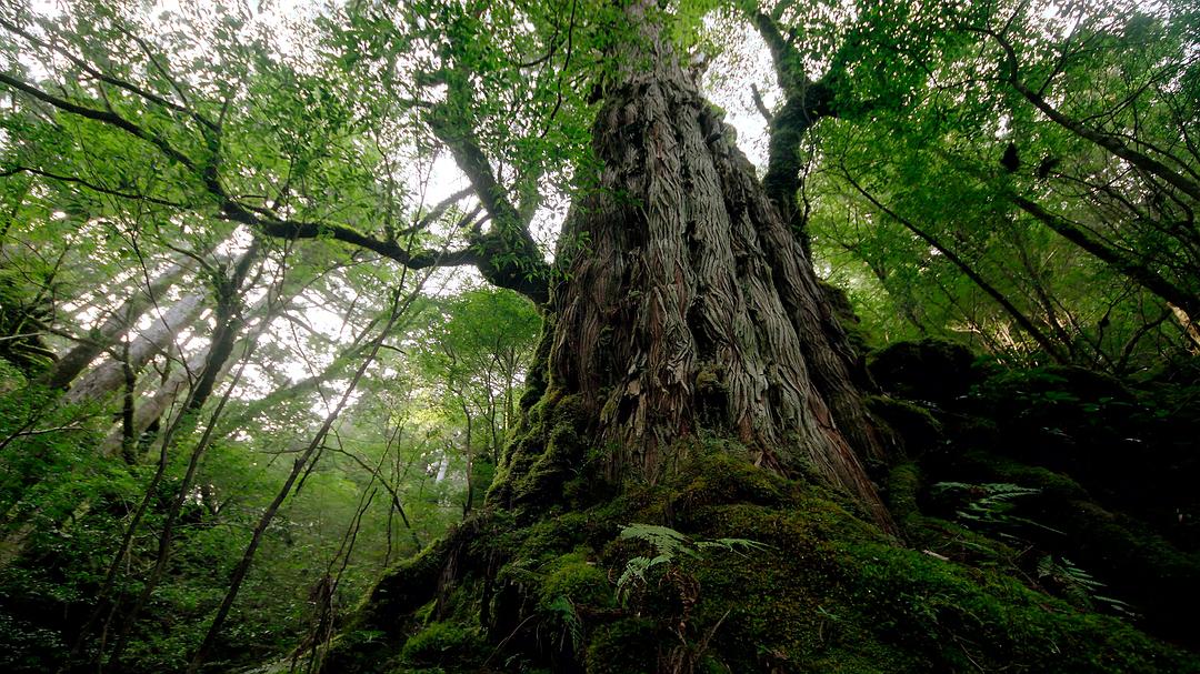 全球绝美国家公园 Our Great National Parks