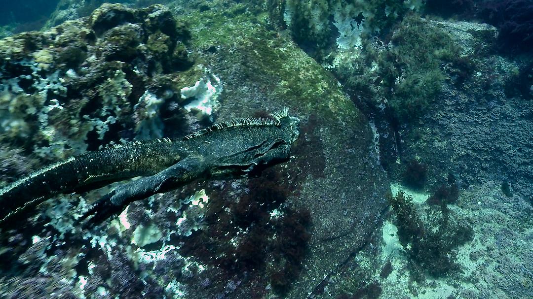 全球绝美国家公园 Our Great National Parks