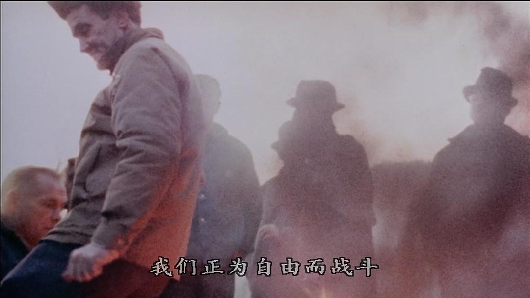 美国哈兰县 Harlan County, U.S.A.