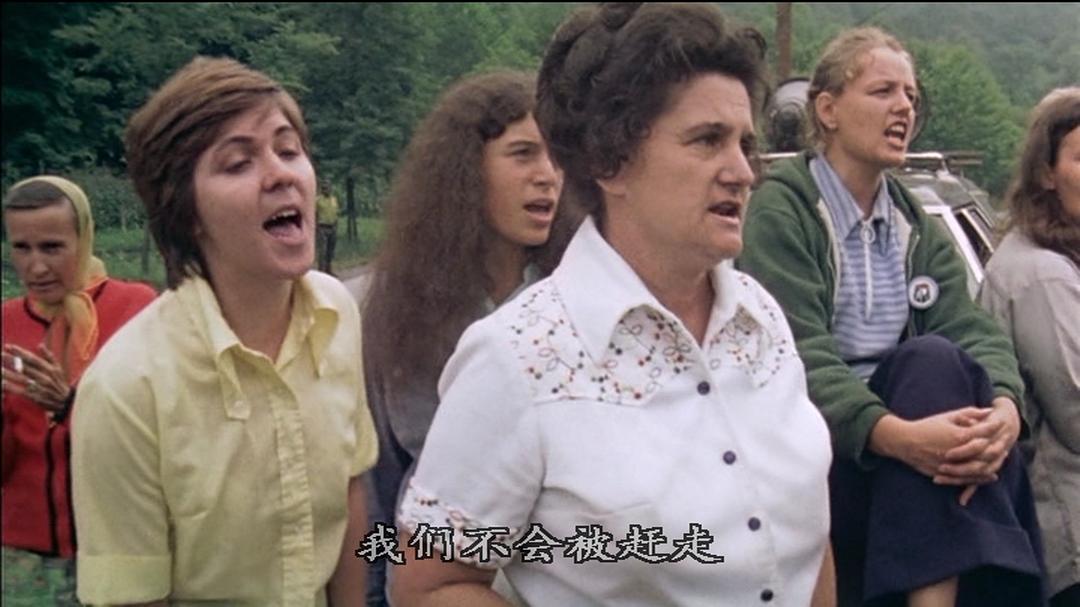 美国哈兰县 Harlan County, U.S.A.