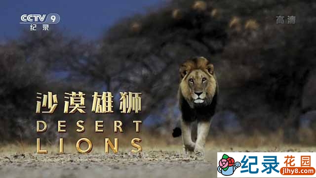 央视野生动物纪录片《沙漠雄狮 Desert Lions》全1集中字 TS/蓝光高清纪录片资源百度云盘下载