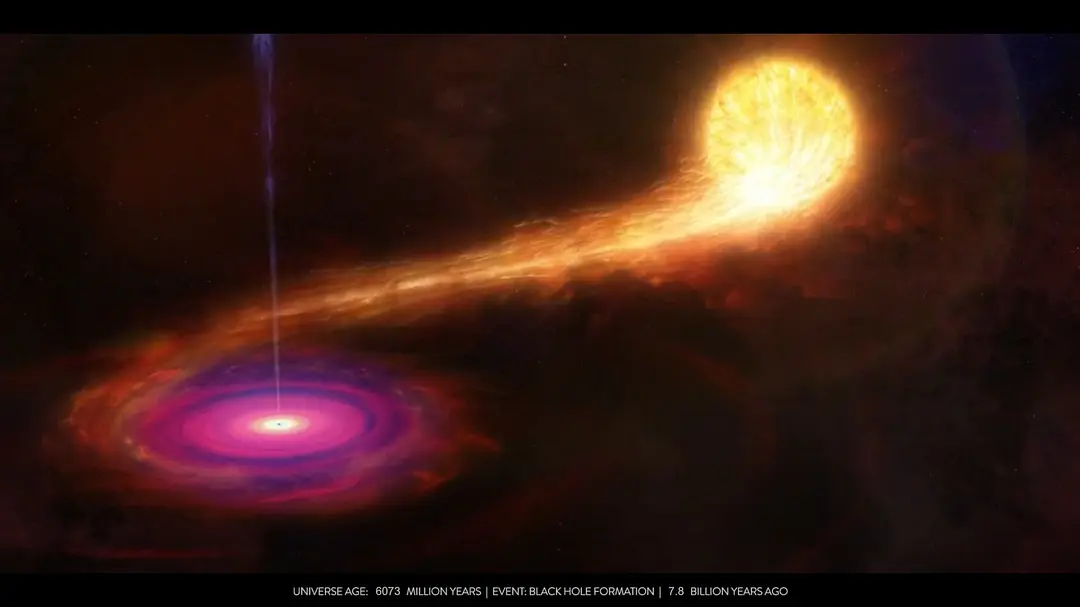 宇宙简史 Timelapse of the Entire Universe