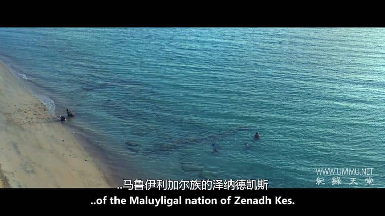 阿利克和阿尔伯特 Alick and Albert