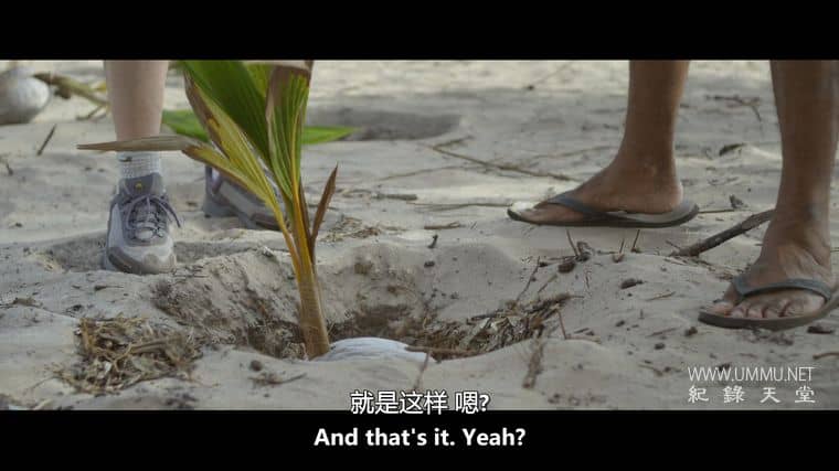 阿利克和阿尔伯特 Alick and Albert